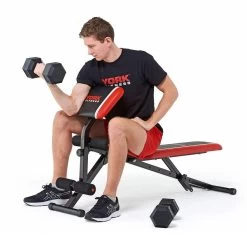 York Warrior 2 In 1 Dumbbell And Ab Bench With Curl -Fitness Equipment Store k2c5d62ff580866be861719f05910d68c