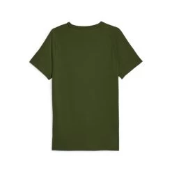 PUMA Mens EVOSTRIPE T-Shirt 15 PUMA Mens EVOSTRIPE T-Shirt -Fitness Equipment Store k622db961446ca32f330d485a9e1d48c0