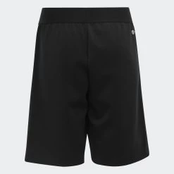ADIDAS AEROREADY Shorts 10 ADIDAS AEROREADY Shorts -Fitness Equipment Store ke2d7a67049366c49fff9239bbf6d186b