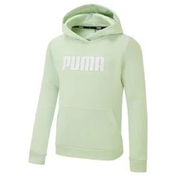 PUMA Kids Essentials Full-Length Youth Hoodie Hooded Top -Fitness Equipment Store kec2b44d5c37abdf96ba875ecf2da27a3
