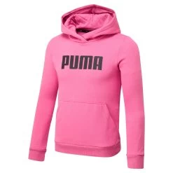PUMA Kids Essentials Full-Length Youth Hoodie Hooded Top -Fitness Equipment Store kf257ffeadfc301ae28c524e64686bfc9
